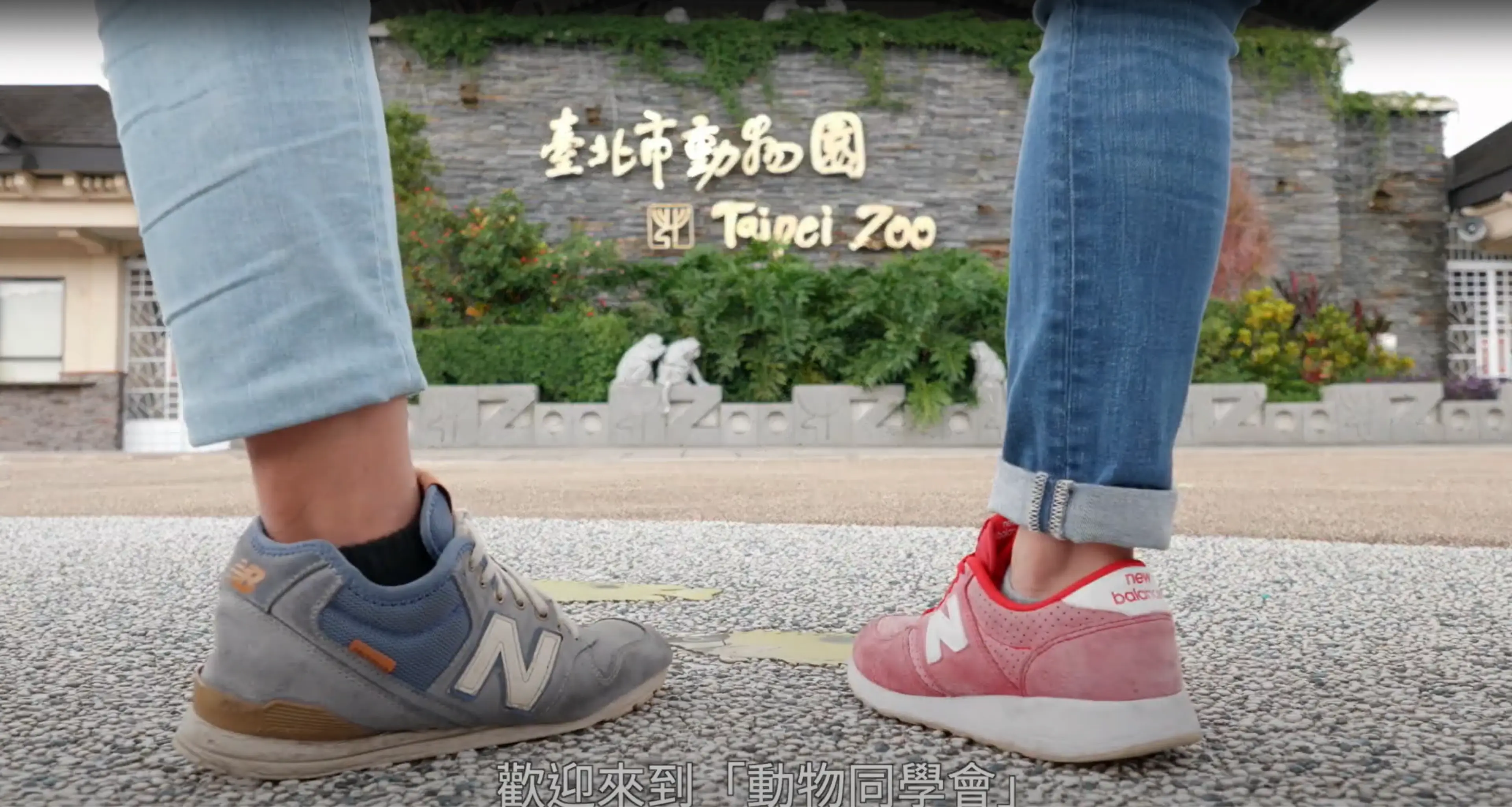 動物園1