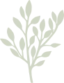 leaf11