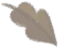 leaf22