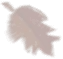 leaf25