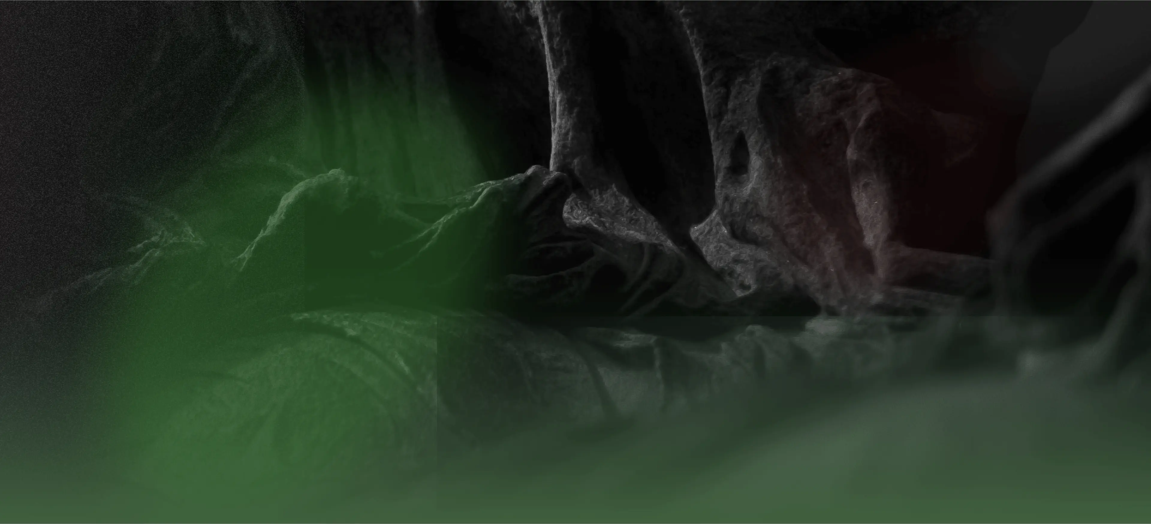 book8_bg1