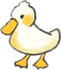 duck2